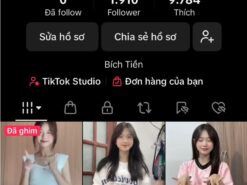 Bán Acc TikTok Gái Xinh – Gần 2K Follow – 10K Like – Nhảy Hot Trend – View Ngon – Giá Cực Yêu!