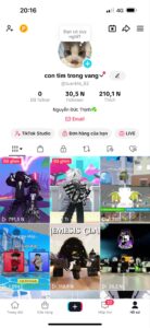 Bán Kênh TikTok 30,5K Follow