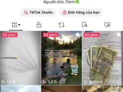 Bán Kênh TikTok Giá Rẻ – 2.960 Follow – 383,4K Thích – Kênh Sạch – Tương Tác Tốt